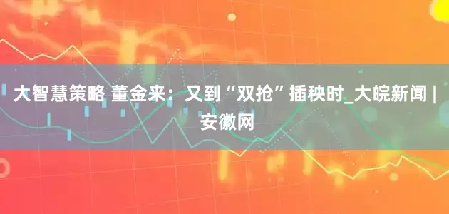 大智慧策略 董金来：又到“双抢”插秧时_大皖新闻 | 安徽网