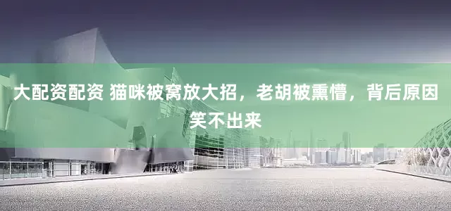 大配资配资 猫咪被窝放大招，老胡被熏懵，背后原因笑不出来